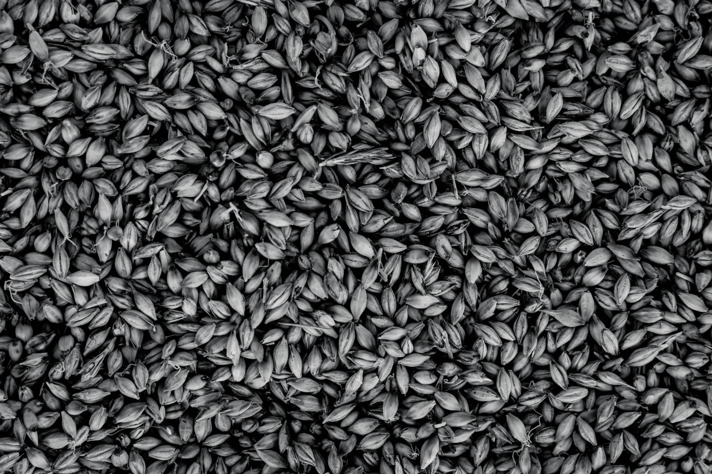 Bruichladdich 53 Anton Sucksdorff